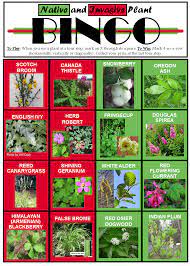 Native And Invasive Plant Bingo Cards For The Willamette Valley Benton Swcd Plants Invasive Plants Native Plants