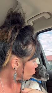 This was my Odii Boy I lost a couple years ago. My true soul mate. First  chiweenie I’ve ever had. I ended up being blessed with his sister