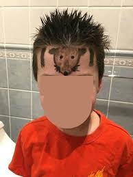 Luckily boys hair grows fast. 11 Crazy Hair Day Tutorials For Boys Vote Here Tip Junkie