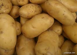 Image result for Solanum tuberosum
