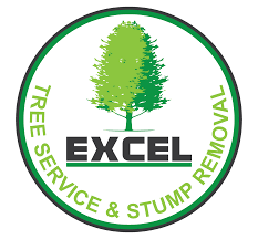 In addition to this, they provide stump grinding as well. Execl Tree Service Stump Removal