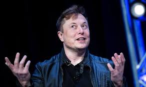 Elon musk unveils the roadster 2 in hawthorne, california, on 16 november 2017. Bitcoin Warning As Price Volatility Tipped To Go All Over The Place City Business Finance Express Co Uk