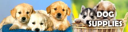 Every day low prices on pet meds. Wholesale Pet Products Pet Supplies Petwholesaler Pets Pet Supplies Cat Pet Supplies