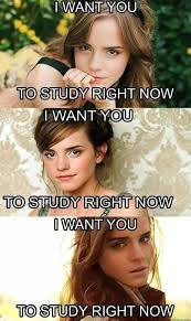 Emma Watson Www Meme Lol Com Studying Funny Funny Pictures Best Funny Videos