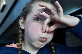 That's a wrap for Eisteddfod