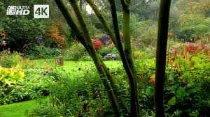 Garden Of Eden The Sallandse Landscape Garden 4k Uhd Ultra Hd 4k Resolution Digital Cinema Dutch Gardens Dream Garden Garden Landscaping