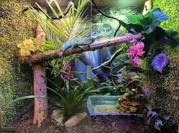 Image result for Terrarium Cling Background