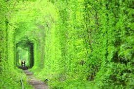 المراجع أين تقع أوكرانيا تقع أوكرانيا في النصف الشمالي الشرقي من. Ø§Ù„Ø·Ø¨ÙŠØ¹Ø© ÙÙŠ Ø§ÙˆÙƒØ±Ø§Ù†ÙŠØ§ Ø³Ø§Ø¦Ø­