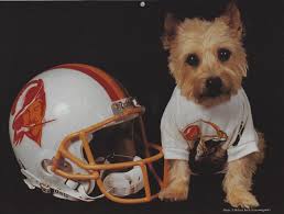 Terhune's 1938 syndicated newspaper column