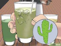 Caring for a cactus during the summer months will really depend on the type of cactus you have. How To Drink Cactus Water For Health 11 Steps With Pictures