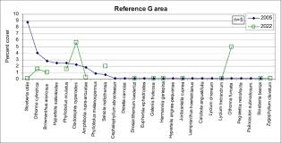 Image result for Hypertelis salsoloides