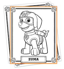 Pypus is now on the social networks, follow him and get latest free coloring pages and much more. Paw Patrol Free Activities Paw Patrol Coloring Paw Patrol Coloring Pages Zuma Paw Patrol