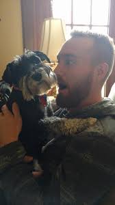 Meet my boyfriend's parents' miniature schnauzers. Rudy's the guy with  cropped ears, Gretel is the floppy one.