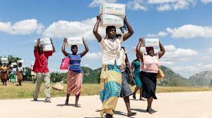 Veteran president robert mugabe dominated the country's political. Zimbabwe A Third Of Population Faces Food Crisis Says Un Bbc News