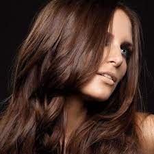 Cocoa Brown Hair Color Coffee Hair Color Chestnut Hair Color Coffee Hair