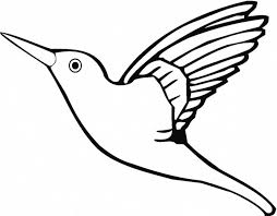 Waterfowl, seabirds and wading birds. Download Flying Parrot Bird Coloring Page Or Print Flying Parrot Coloring Home