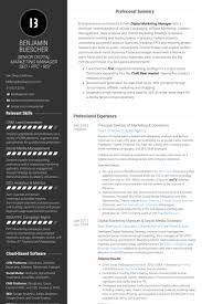 Director Of Online Marketing Resume Example Marketing Resume Resume Examples Business Analyst Resume