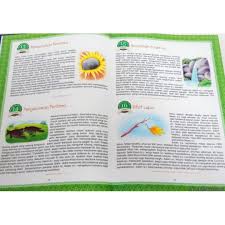 Applications featuring one hadith choice every day for one year. Darulmughni Satu Hari Satu Cerita 366 Cerita Dari Al Quran Dan Hadis Books Stationery Children S Books On Carousell