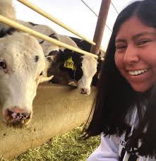 Don Diego Scholarship Foundation ANNUAL REPORT 2020