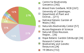 Image result for Trifolium wentzelianum