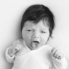 They're like baby mugshots 🩶🤍