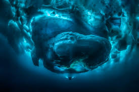 Iceberg official website online safe shopping customer care. You Can T Take This Photo The Colossal Underbelly Of An Iceberg Wired