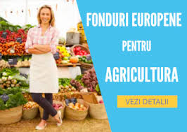 Cum Se Pregateste Un Proiect De Fonduri Europene In 2021