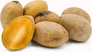 Sapodilla trees are wind and salt tolerant and do best in a a hot, sunny location. Grafted Sapodilla Fruit Tree