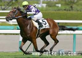 父名 グラスワンダー 母父名 スペシャルウィーク の競走馬検索 競馬データベース Netkeiba Com