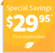 This will depend on if the lawn is a 'cold weather' or 'warm weather' area lawn. Lawn Aeration In Ajax Ontario Trugreen