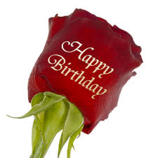 Auch wir leisten unseren beitrag und bieten ihnen auf unbestimmte zeit unseren lieferservice an. Blumenversand Blumen Online Verschicken Auf 123blumenversand De