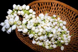 Delicate dried jasmine flower petals grown on a organic family farm in. Jasmine Flower String Approx 30cms Shaalis