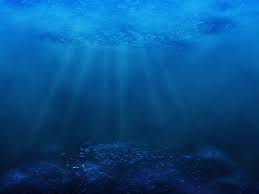 Ocean Floor Wallpapers Wallpaper Cave Its topography is highly variable. ocean floor wallpapers wallpaper cave
