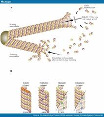 Image result for Eribulin