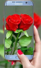 You can rotate flower with gestures by swiping through your home screens and scene will change its rotation according to touches. 3d Rose Live Wallpaper 2019 Hd Background For Android Apk Download