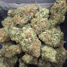According to breeder seed junky genetics, wedding cake, also known as pink cookies, is a phenotype of triangle mints. Buy Wedding Cake Strain Wedding Cake Weed Wedding Cake Near