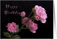 Rose happy birthday flowers card. Birthday Cards With Flowers From Greeting Card Universe