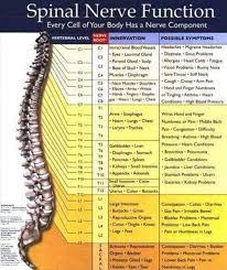 Pin By Chris Schelstraete On Ot Medical Knowledge Physical Therapy Subluxation