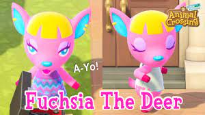 Fuchsia The Deer Sisterly Villager Animal Crossing New Horizons Youtube From the first sketches to the final. fuchsia the deer sisterly villager animal crossing new horizons