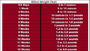 Kitten Weight Chart Cat Weight Chart Weight Charts