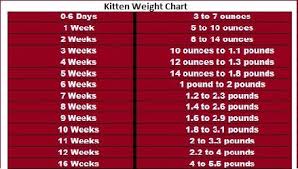 kitten weight chart cat weight chart weight charts