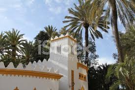 Atrakcija palmeral of elche, elche: Palmeral Of Elche Stock Photos Freeimages Com