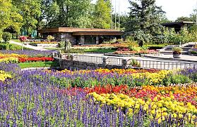 With the addition of the new pepsi rink at maysa arena we have a need for even more fans! Https Www Minotdailynews Com News Local News 2020 04 The International Peace Garden Remains Closed Due To Coronavirus Concerns