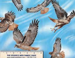 Birds Of Prey Digital Release Date Hawks Fabric Redtailed Hawks Birds Of Prey Backyard Bandits Ii Novelty Sky Celestial Clouds Quilt Shop Quality 100 Cotton Hawk Bird Prey Birds Of Prey