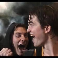 Anthony Rickett: Hufflepuff's Journey through Harry Potter