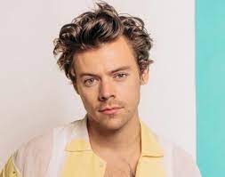 Harry styles taglia i capelli alla james dean (un'idea per andare dal parrucchiere in lockdown). Harry Styles Grosse Gewicht Korpermasse Augenfarbe Biografie