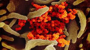 Delta was the cause of more than 80% of new u.s. New Covid Variant C 1 2 May Be More Infectious Evade Vaccine Protection Study