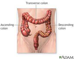 Learn how and when to use a colon (:) with examples and useful colon punctuation rules. Colon Cancer Information Mount Sinai New York
