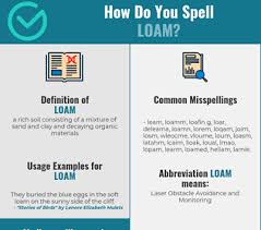 Correct Spelling For Loam Infographic Spellchecker Net