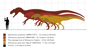 allosaurus vs tyrannosaurus difference and comparison diffen